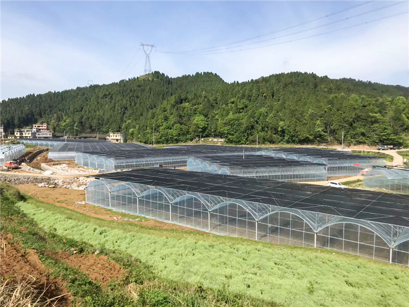 無土栽培，無土栽培技術(shù)，無土栽培設備